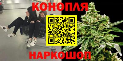 стаф Кимры